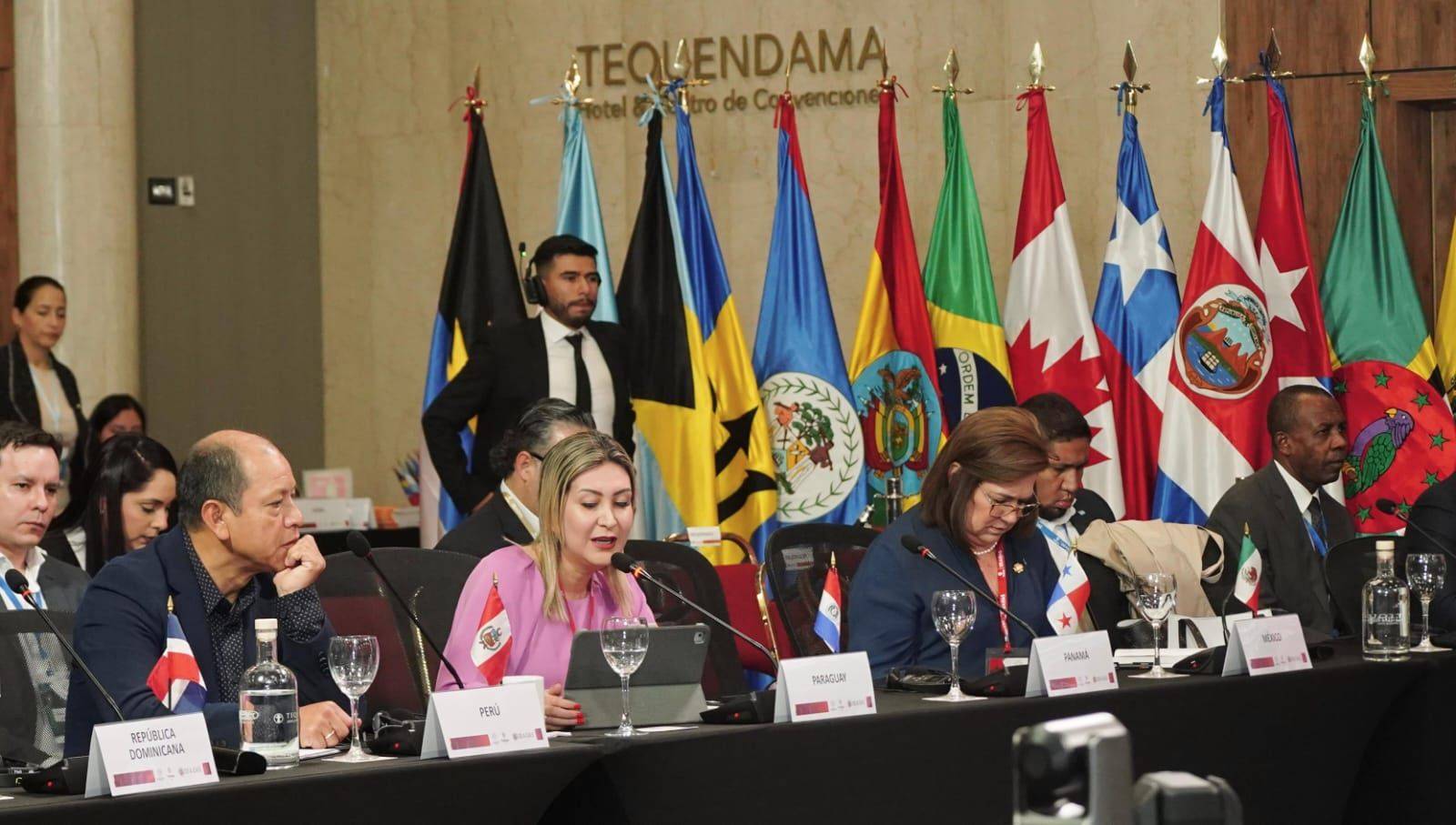 Paraguay elegido para presidir el Grupo de Trabajo de la OEA en materia laboral